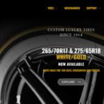 Vogue Tire Rebate 2023